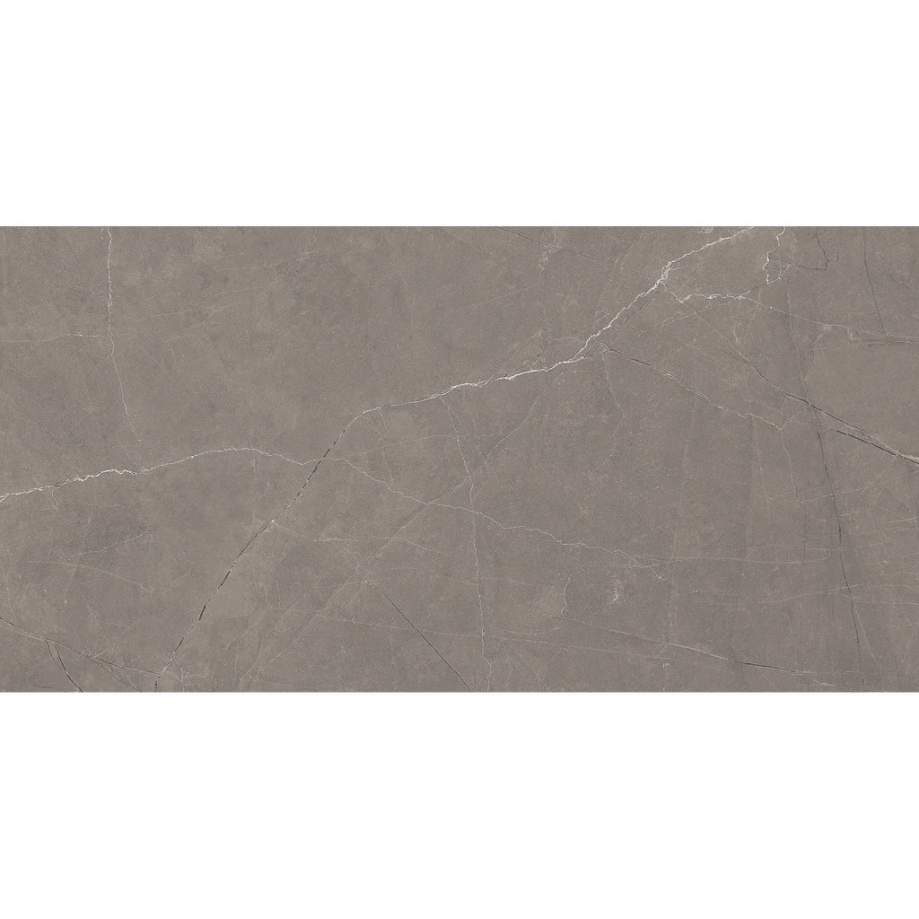 Grey Polished Tile