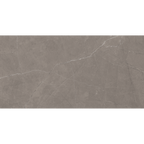 Grey Polished Tile