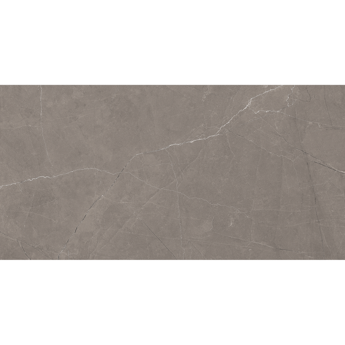 Grey Polished Tile