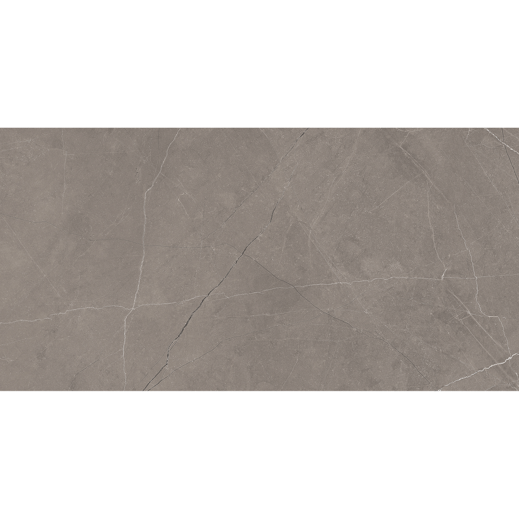 Grey Polished Tile