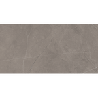Grey Polished Tile
