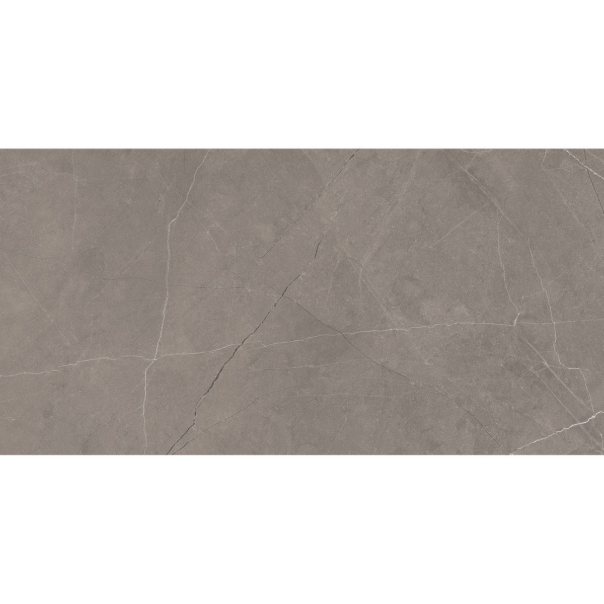 Grey Polished Tile