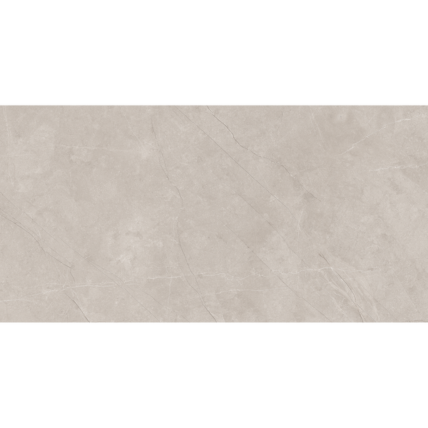 Pulpis Silver Polished Tile