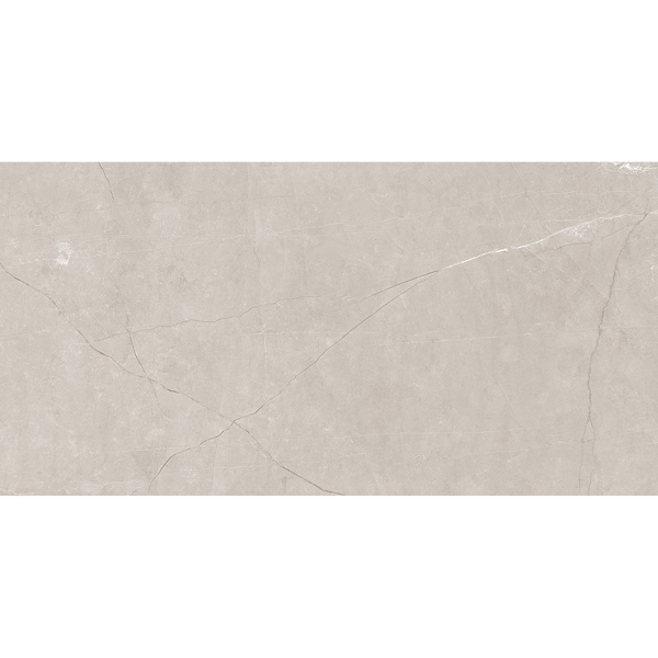 Silver Polished Tile