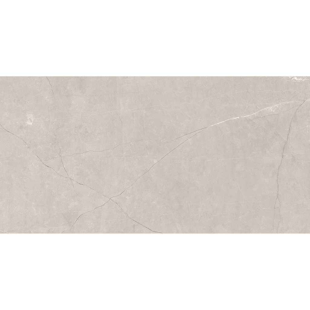 Silver Matt Tile