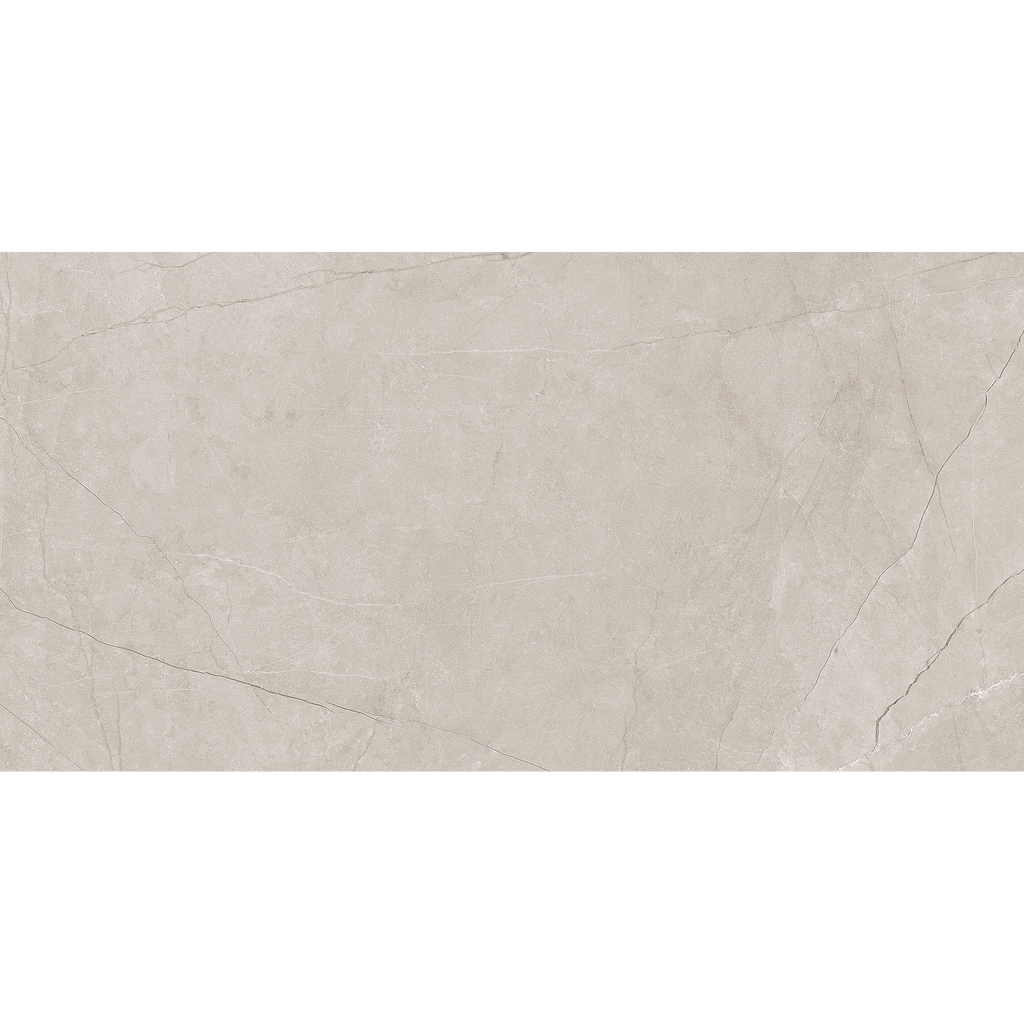 Silver Matt Tile