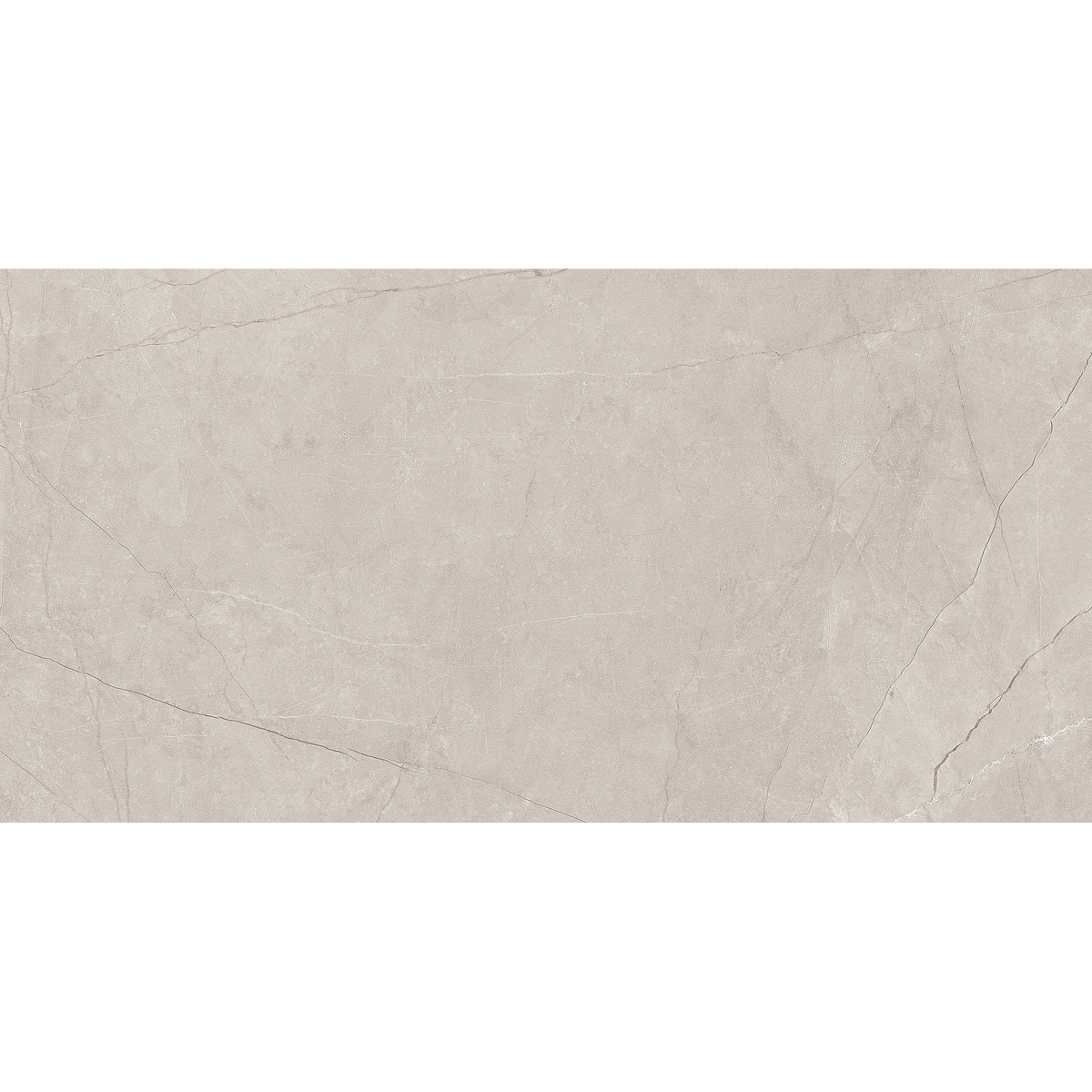 Silver Matt Tile