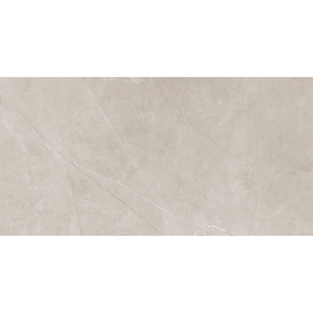 Silver Matt Tile