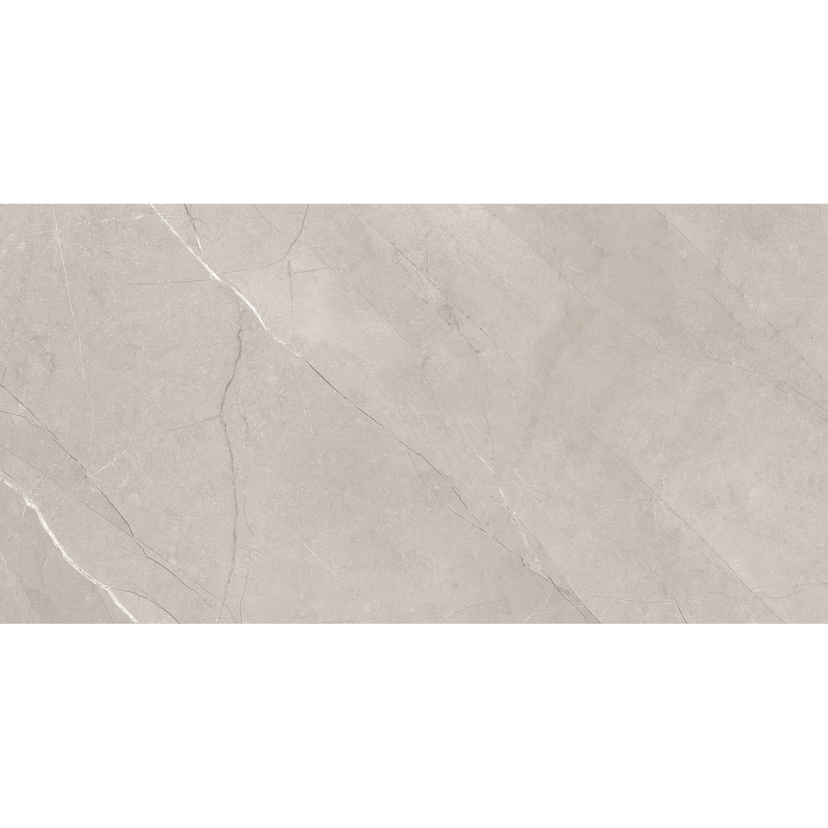 Silver Matt Tile
