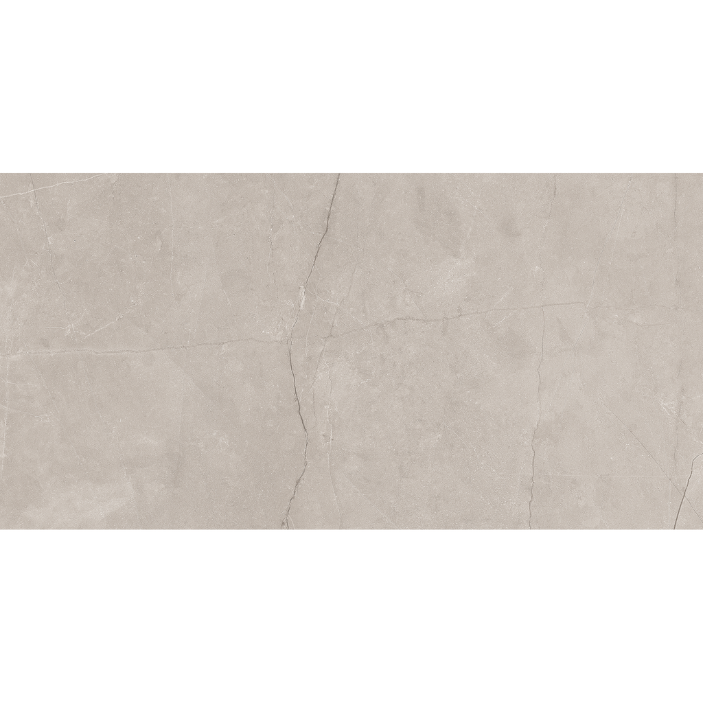 Silver Matt Tile