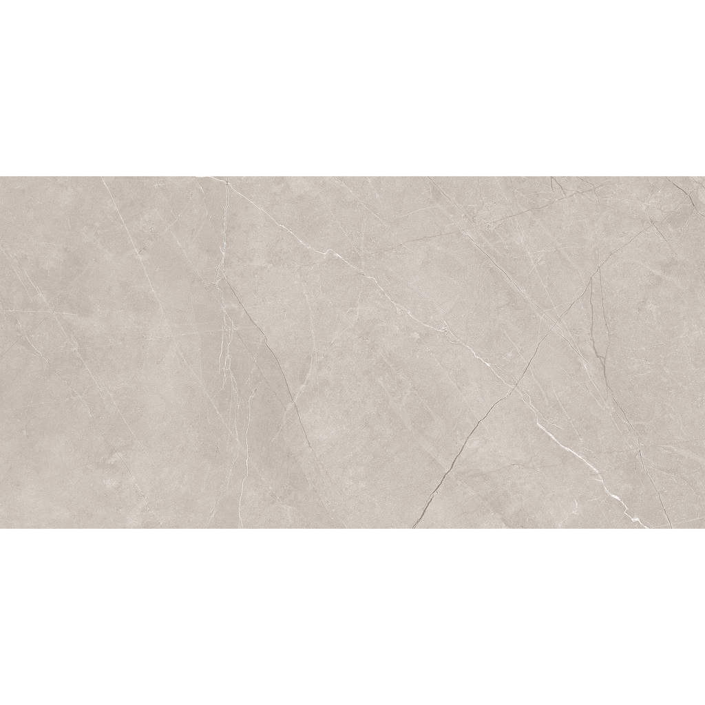 Silver Matt Tile