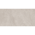 Silver Matt Tile