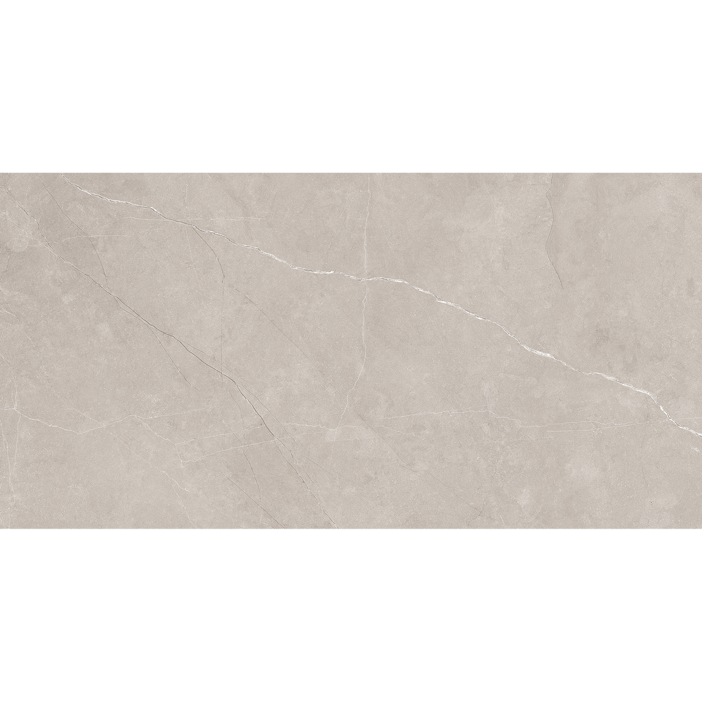 Silver Matt Tile