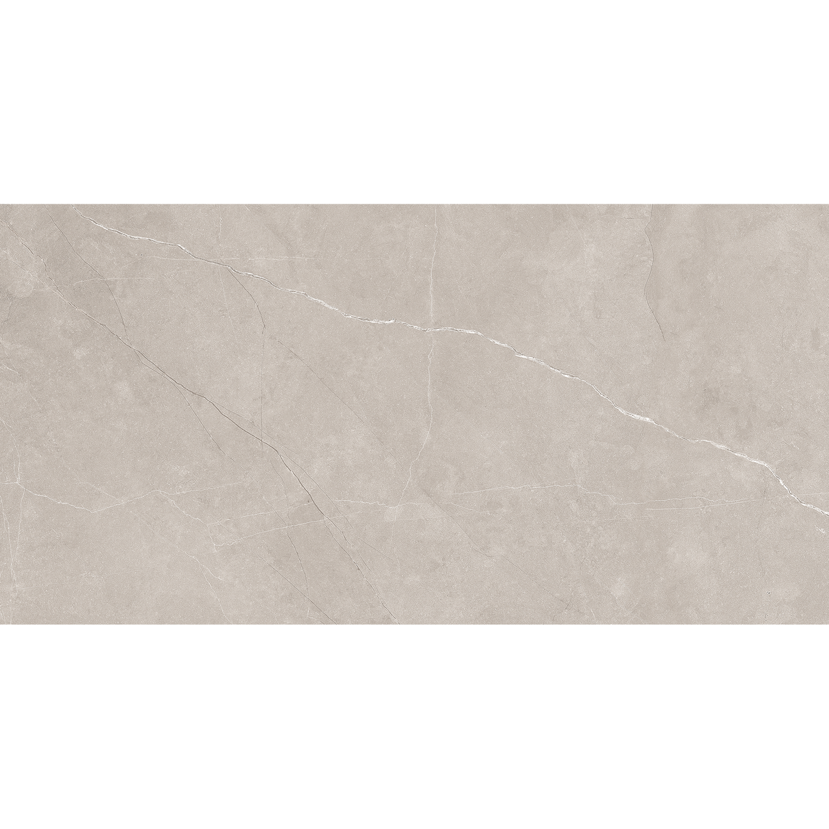Silver Matt Tile