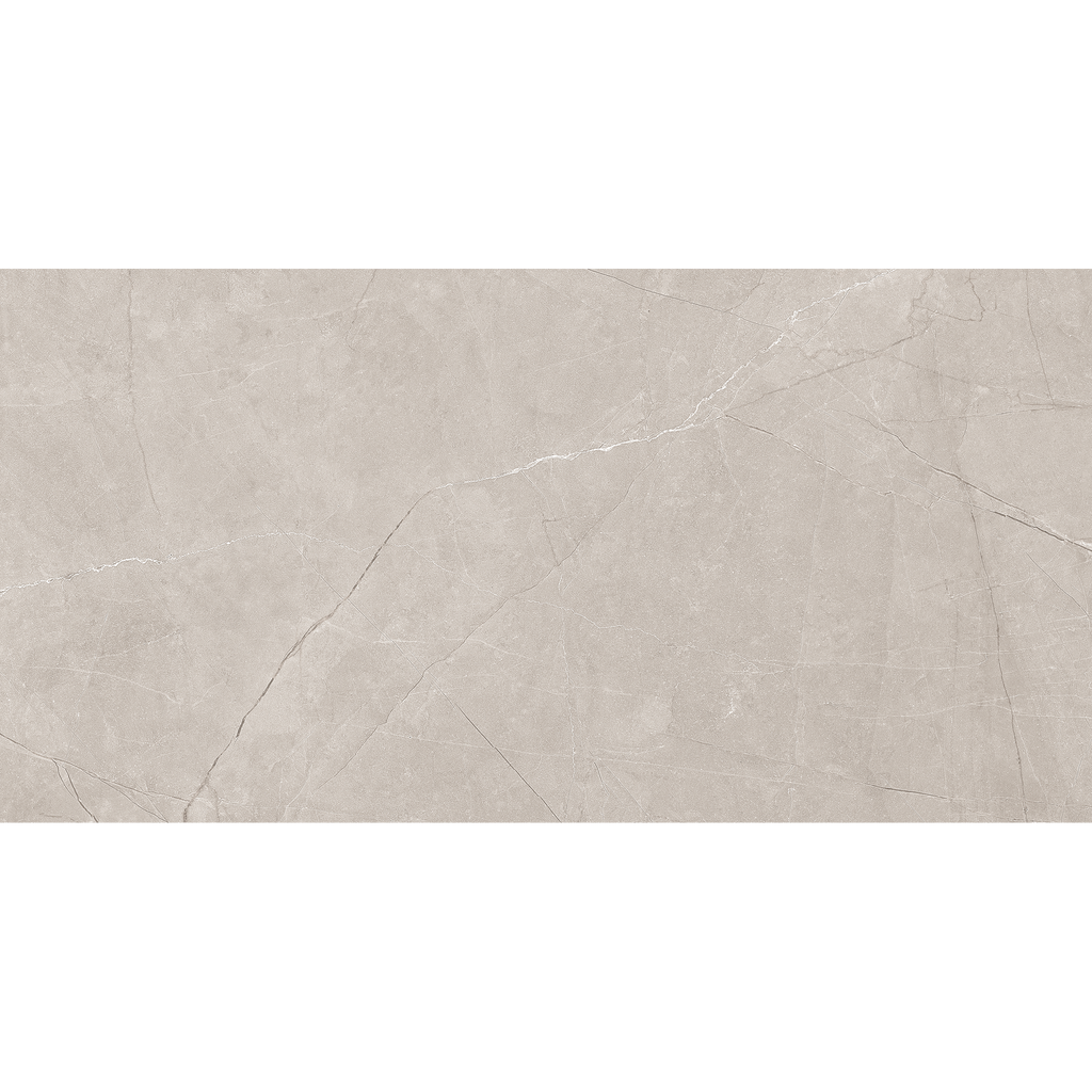 Silver Matt Tile