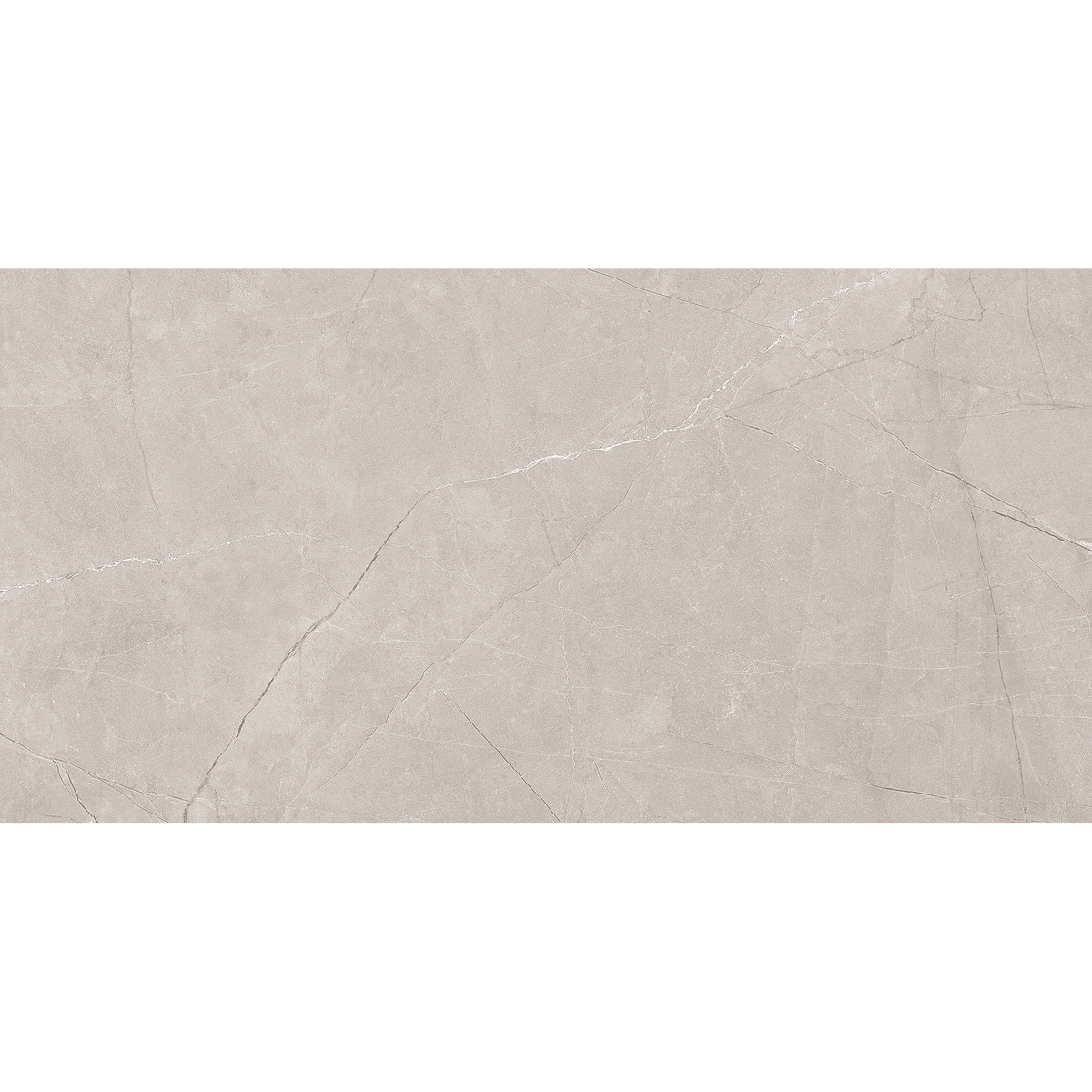 Silver Matt Tile