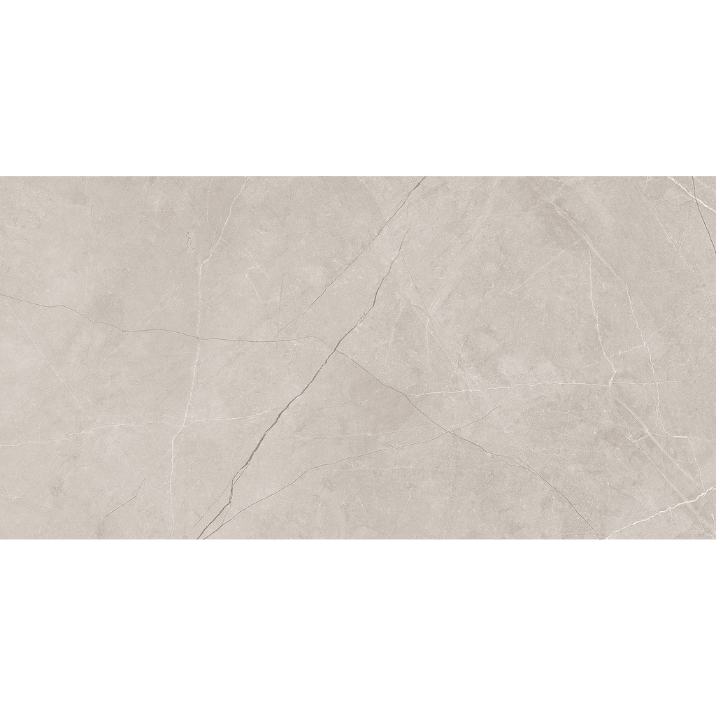Silver Matt Tile
