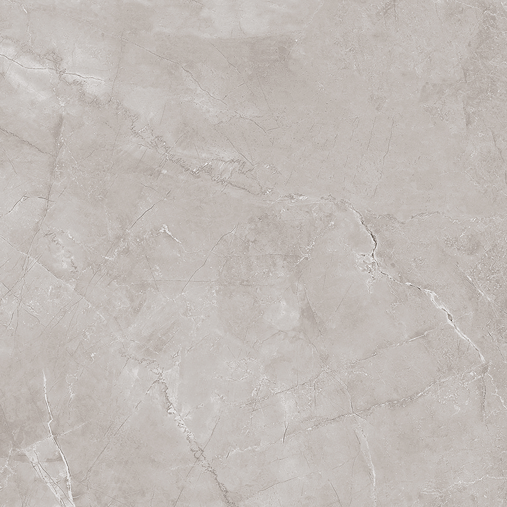 Ambience Artic Grey Polished Tile