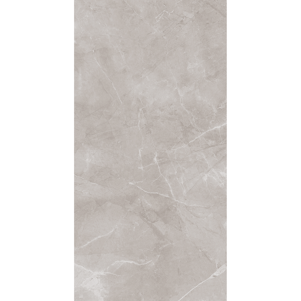 Ambience Artic Grey Polished Tile