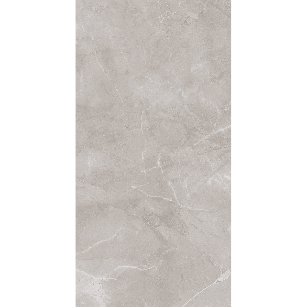 Ambience Artic Grey Polished Tile