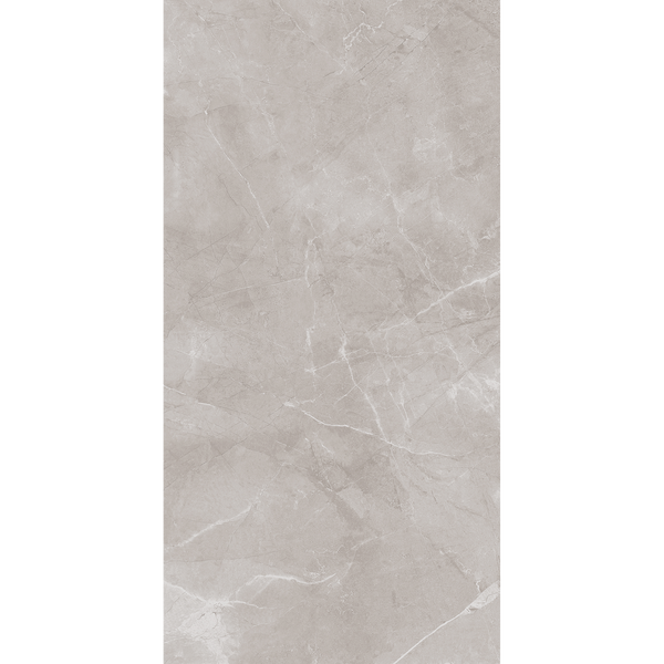 Ambience Artic Grey Polished Tile
