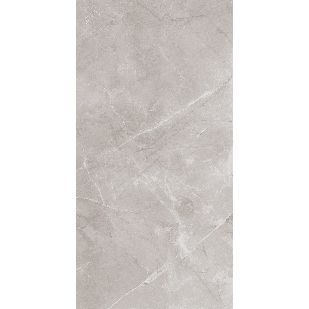 Artic Grey Polished Tile