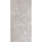 Artic Grey Polished Tile
