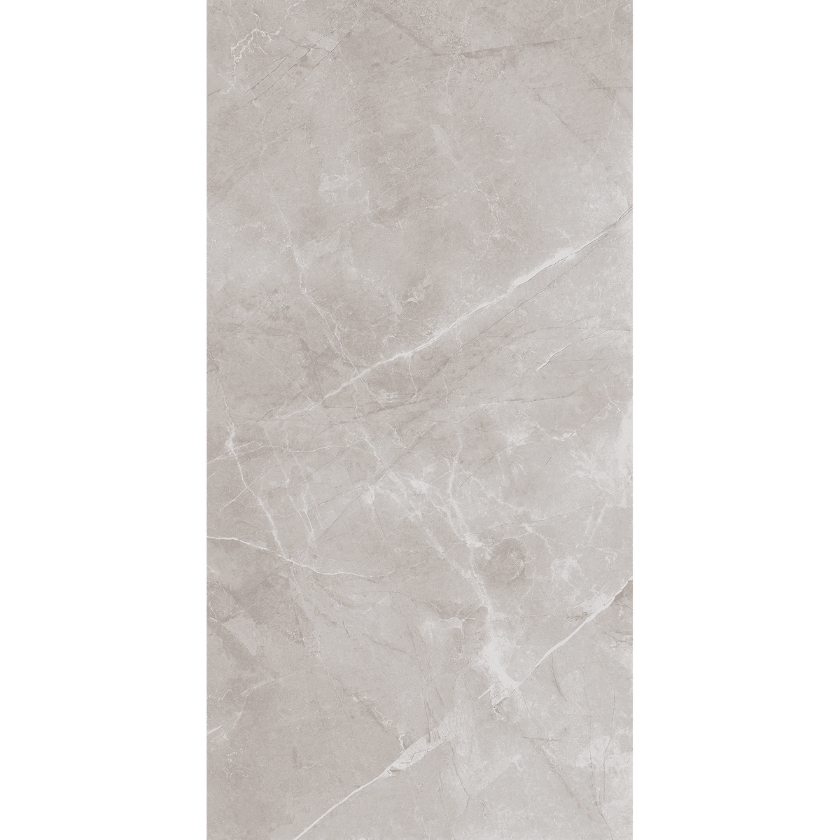Artic Grey Polished Tile