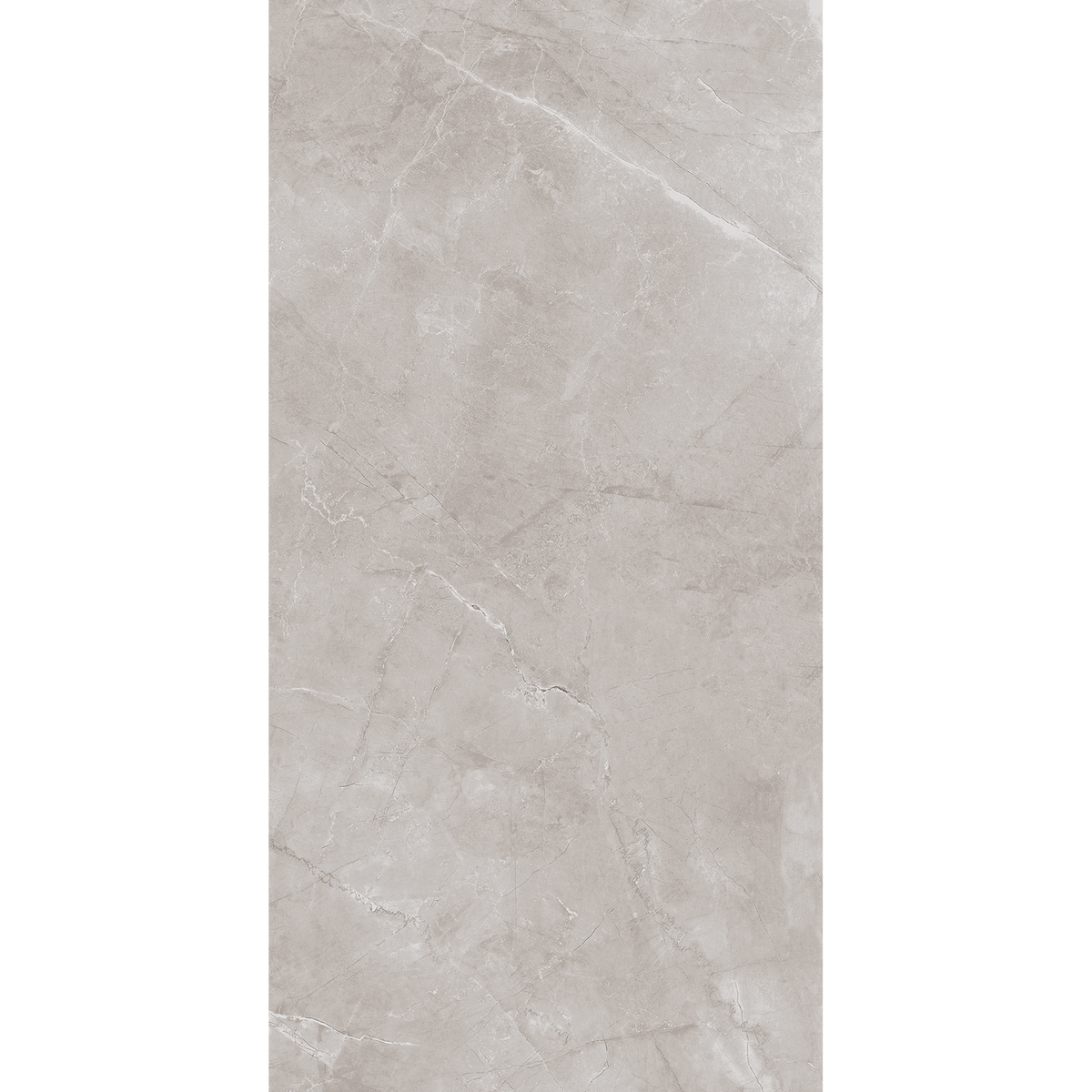 Artic Grey Polished Tile