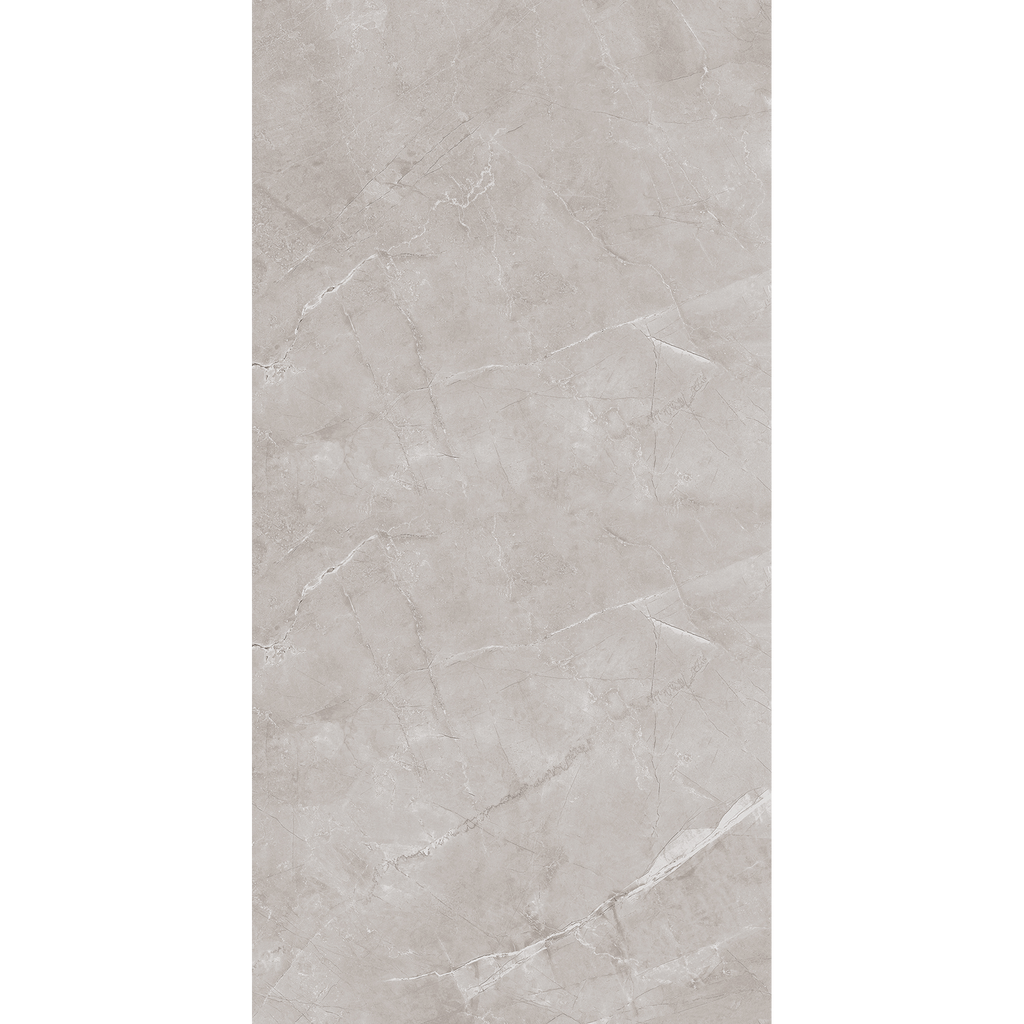 Artic Grey Polished Tile
