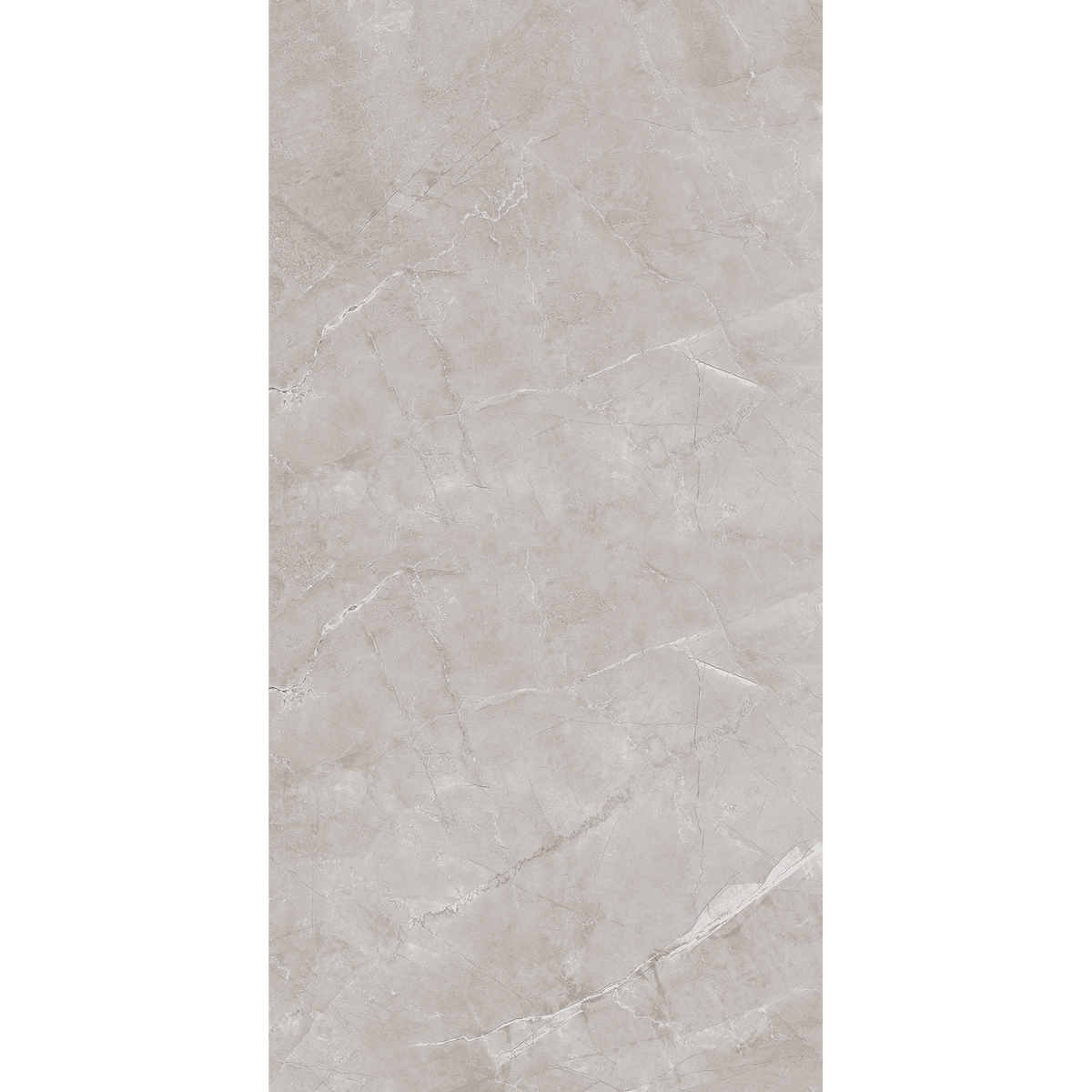 Artic Grey Polished Tile