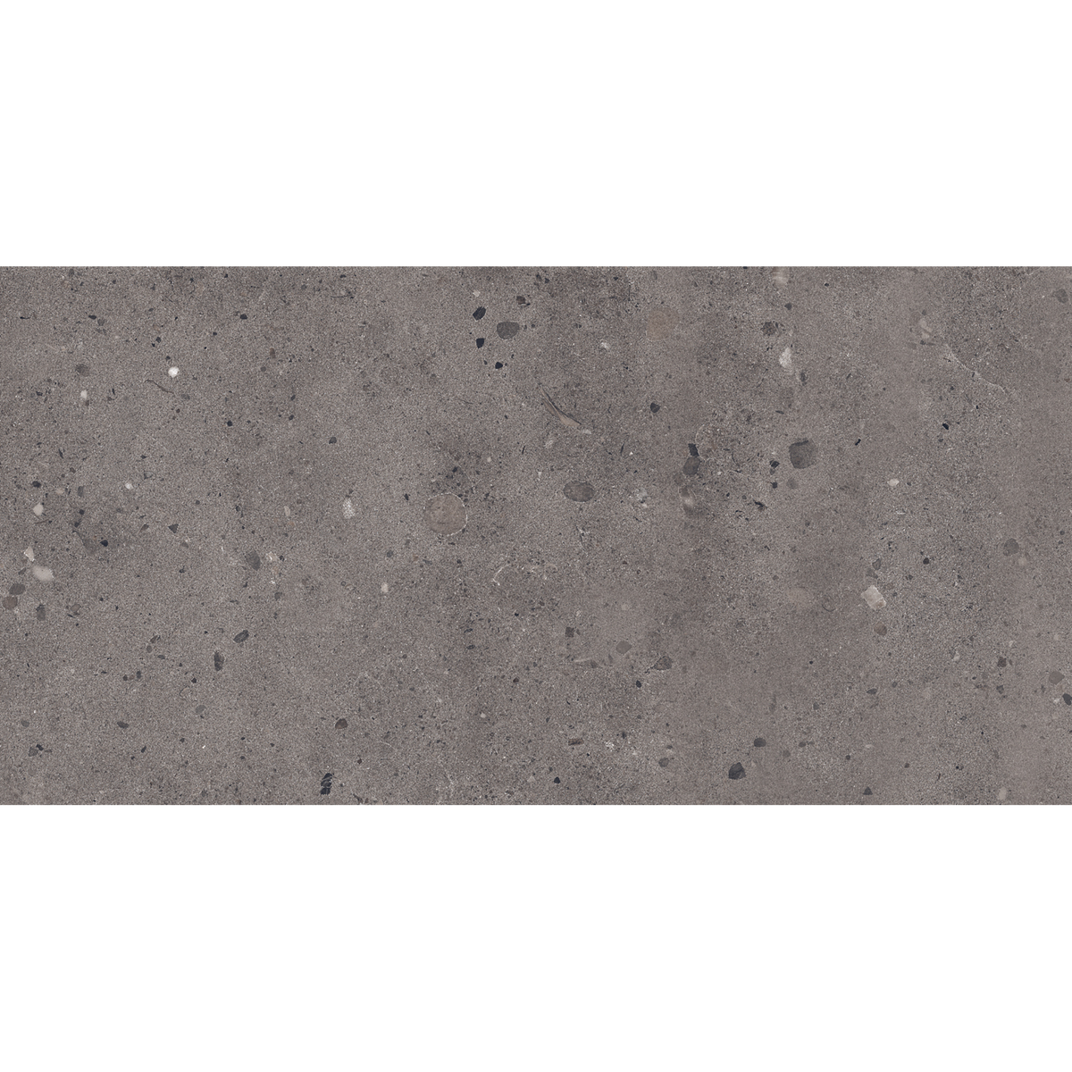 Dark Grey Matt Tile