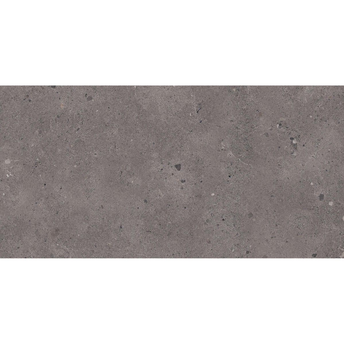 Dark Grey Matt Tile
