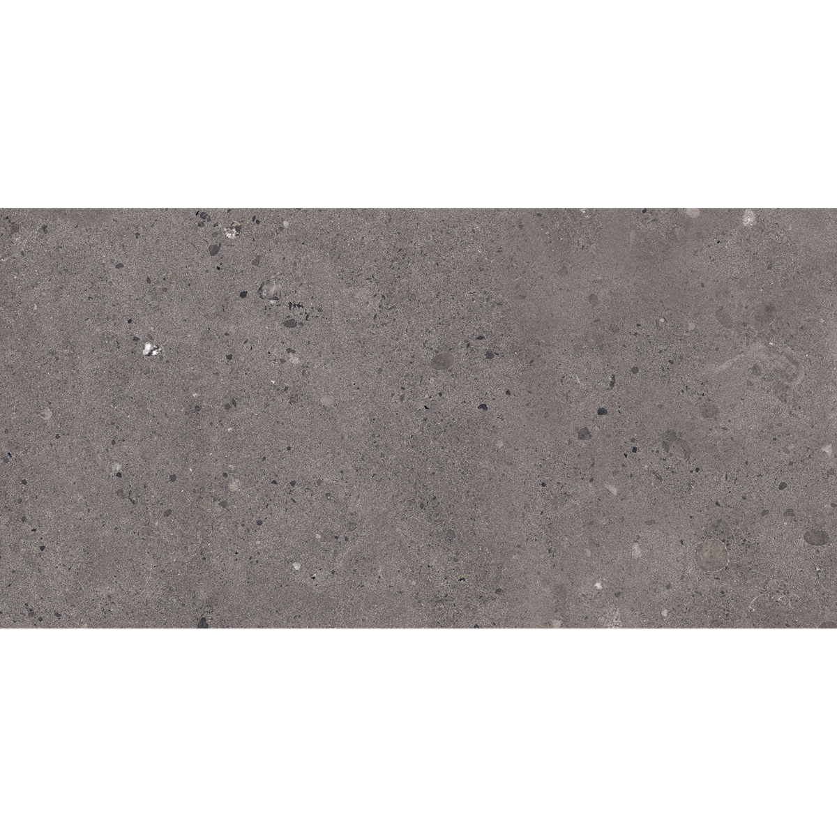 Dark Grey Matt Tile