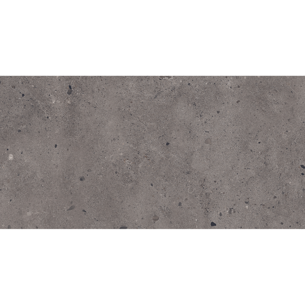 Dark Grey Matt Tile