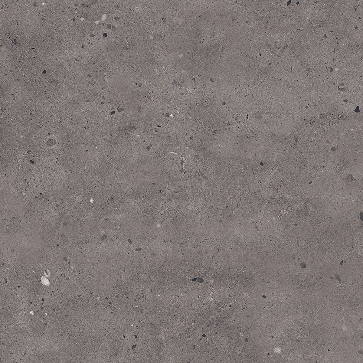 Dark Grey Matt Tile