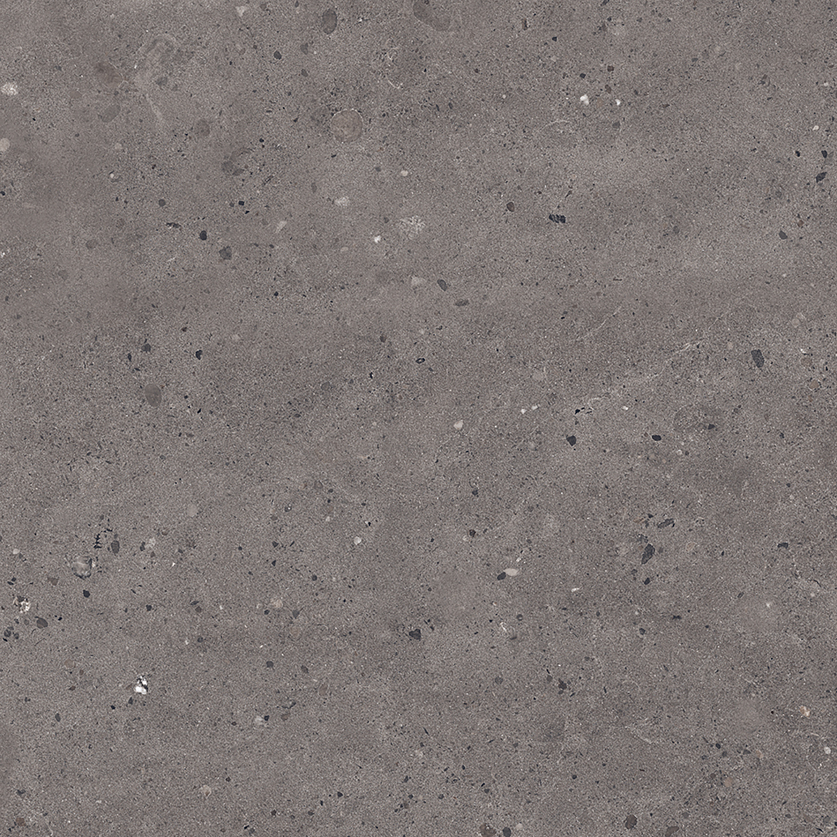 Dark Grey Matt Tile