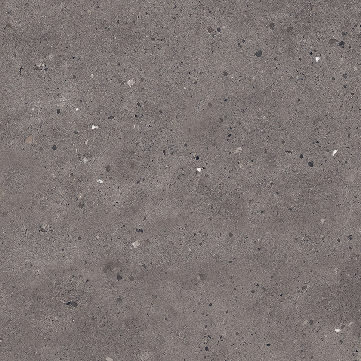 Dark Grey Matt Tile