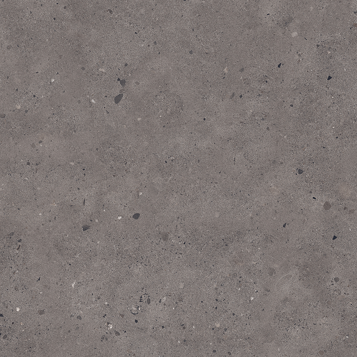 Dark Grey Matt Tile