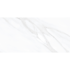 Ambience-Carrara Carrara White Polished Tile