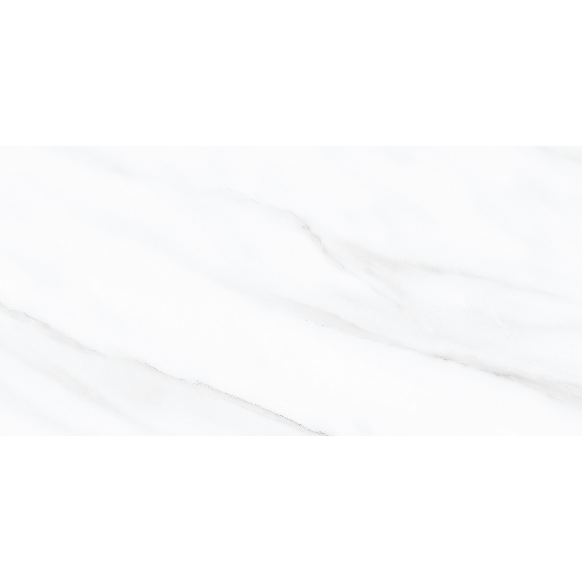 Carrara White Polished Tile