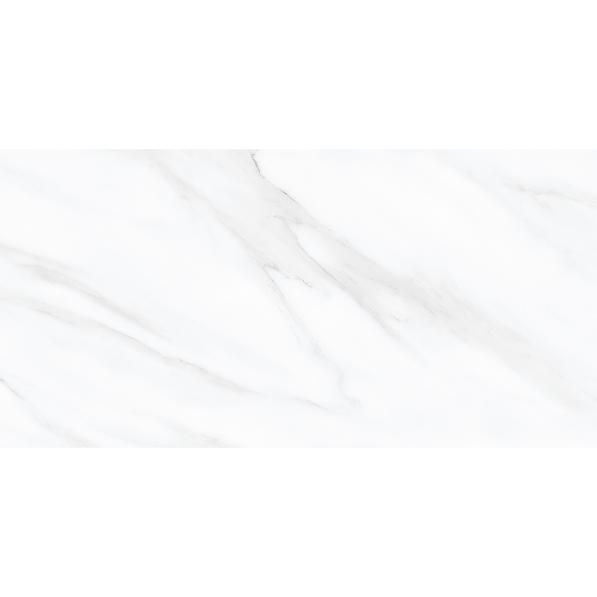 Carrara White Polished Tile