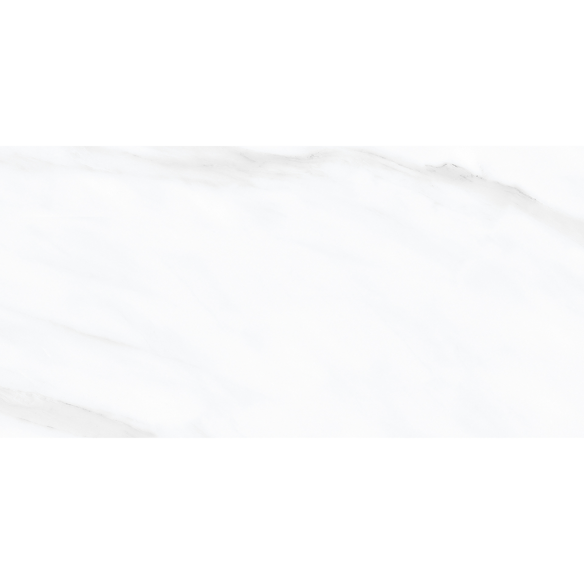 Carrara White Polished Tile