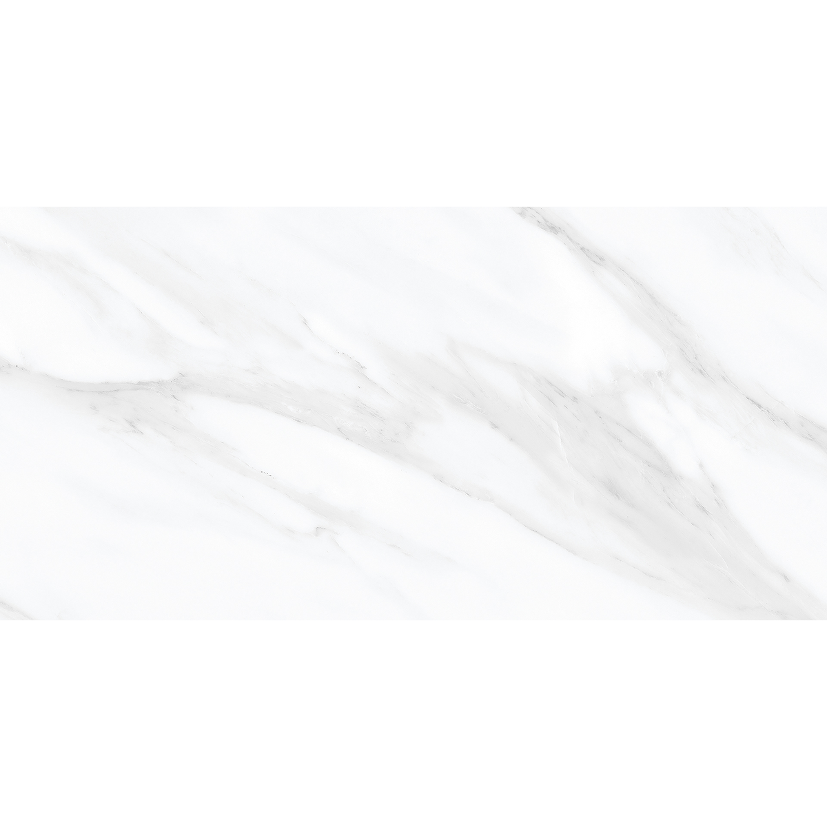 Carrara White Polished Tile