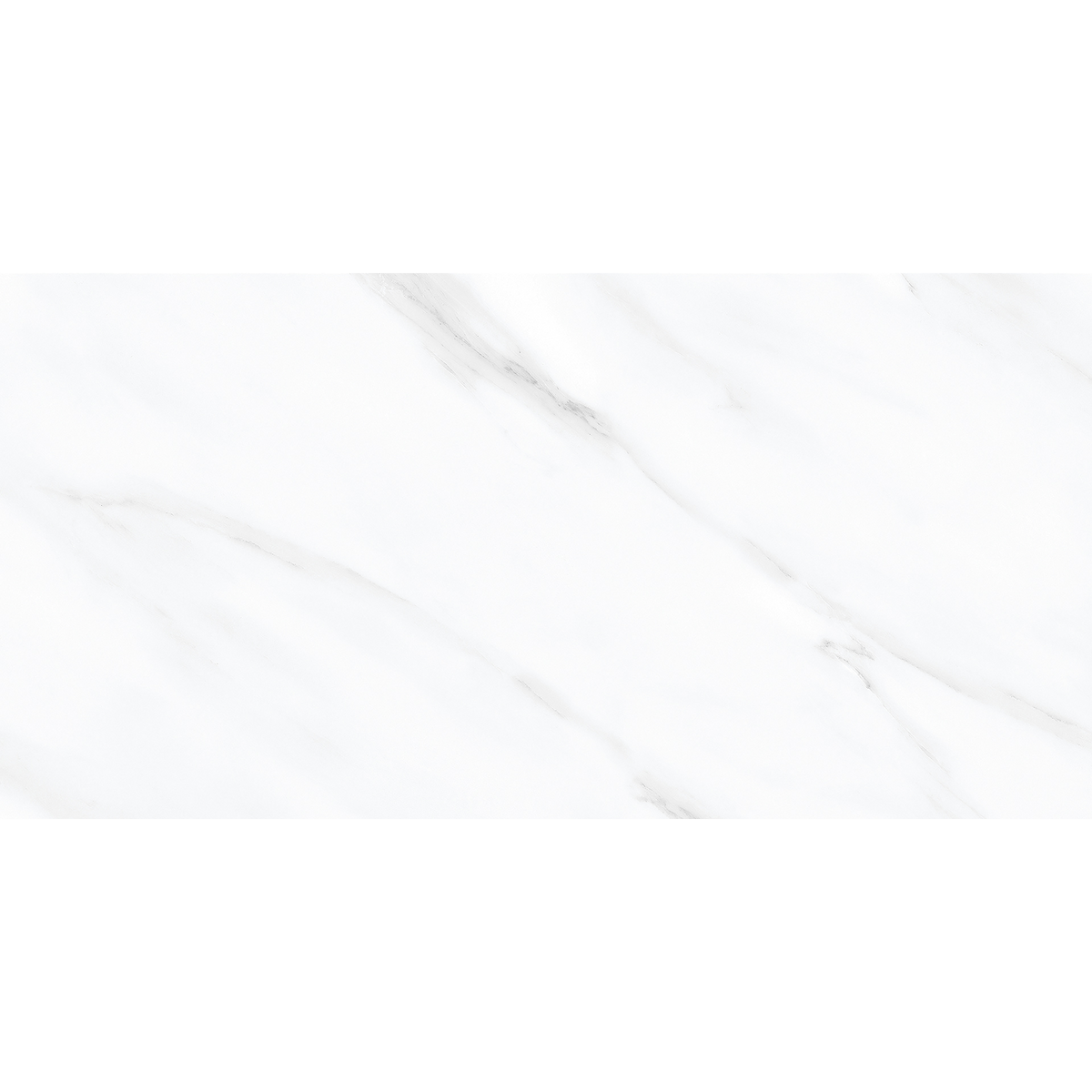 Carrara White Polished Tile