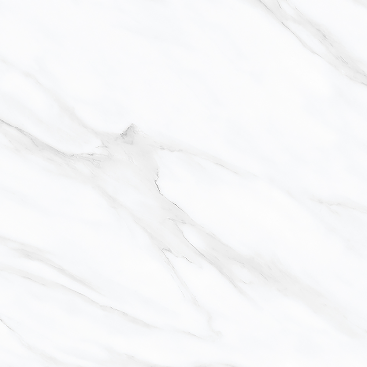 Ambience-Carrara Carrara White Polished Tile