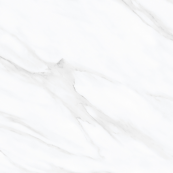 Ambience-Carrara Carrara White Polished Tile