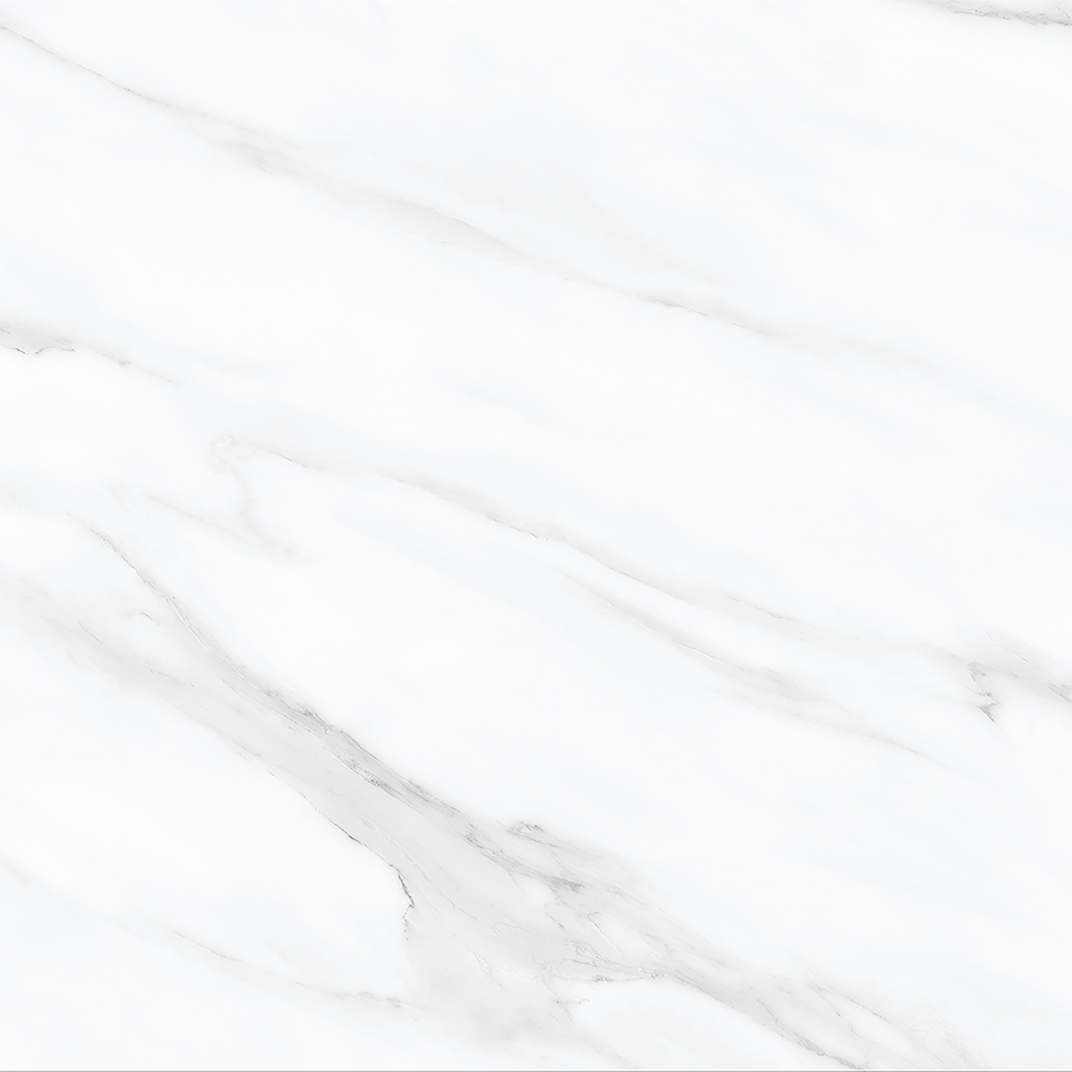Carrara White Polished Tile