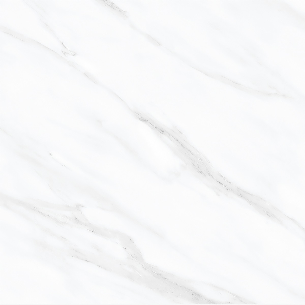 Carrara White Polished Tile