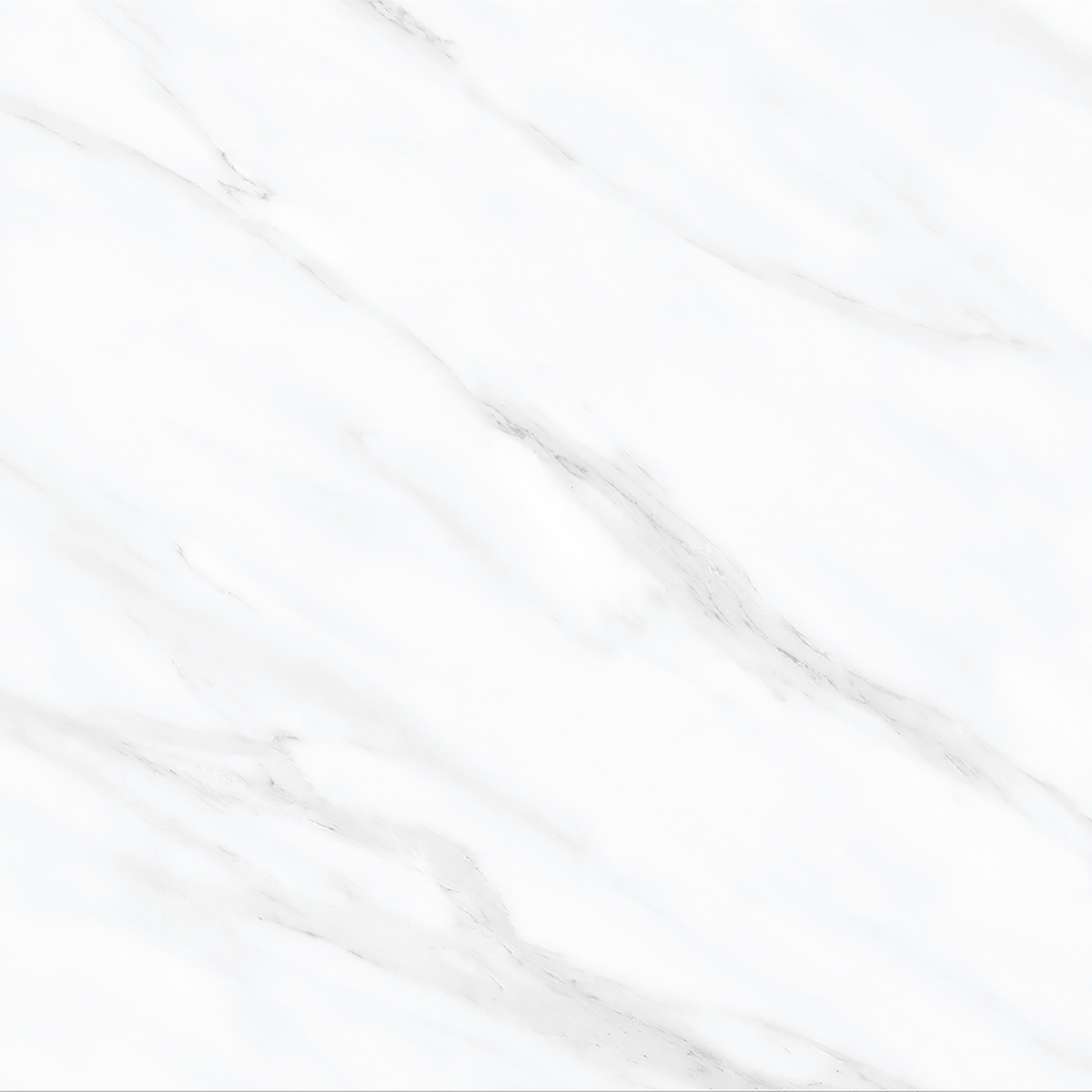 Carrara White Polished Tile